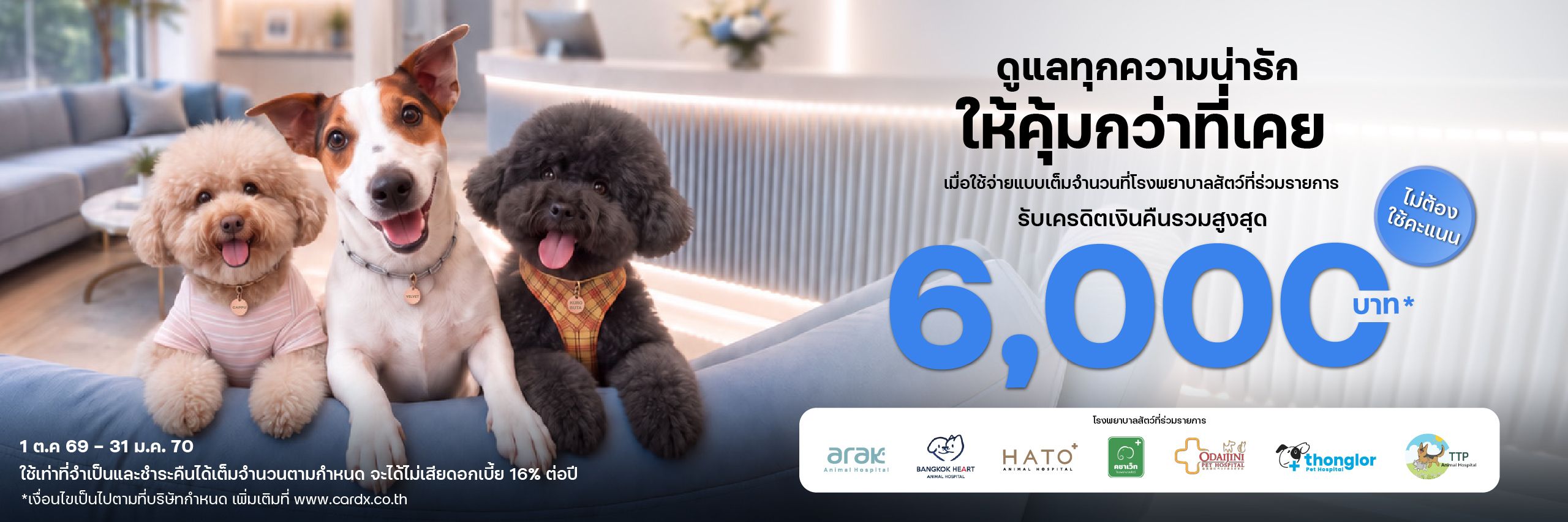 ดูแลทุกความน่ารัก ให้คุ้มกว่าที่เคย