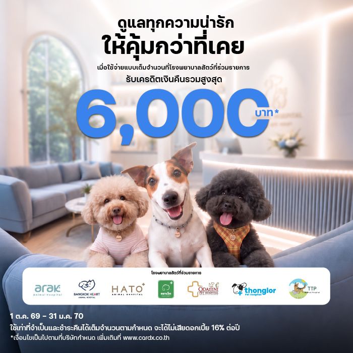 ดูแลทุกความน่ารัก ให้คุ้มกว่าที่เคย